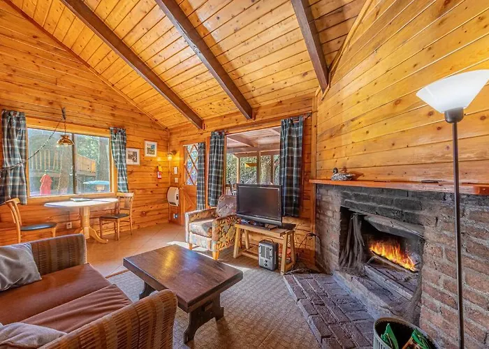 Forest Cabin 1 Hunters Blind
