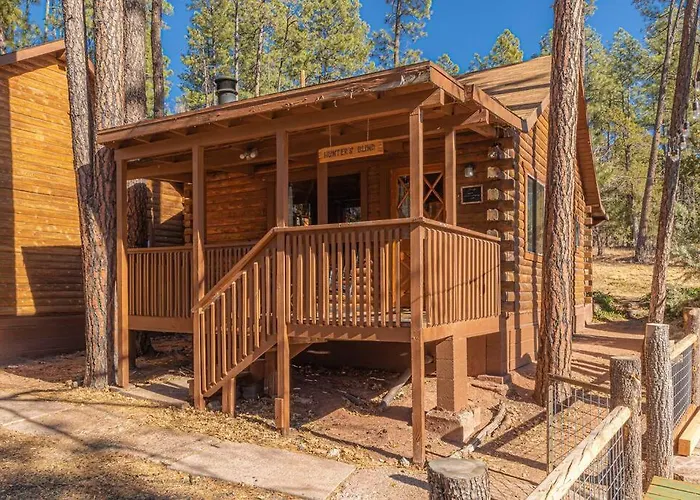 Forest Cabin 1 Hunters Blind