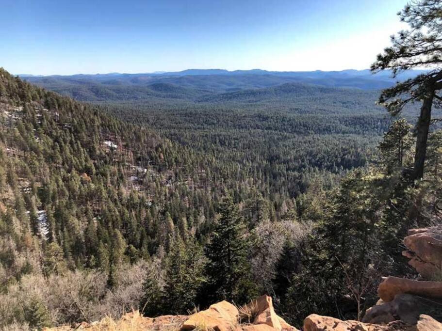 Forest 1 Hunters Blind Holiday home Payson