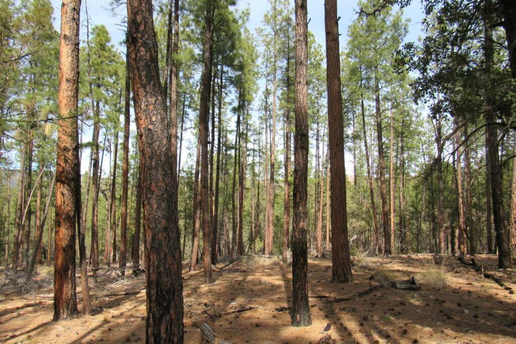 Holiday home Forest 1 Hunters Blind Payson